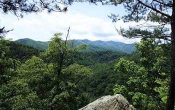 Mountain view