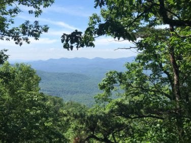 springer mountain to sassafras gap trail