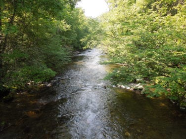 river near tunnel to nowhere