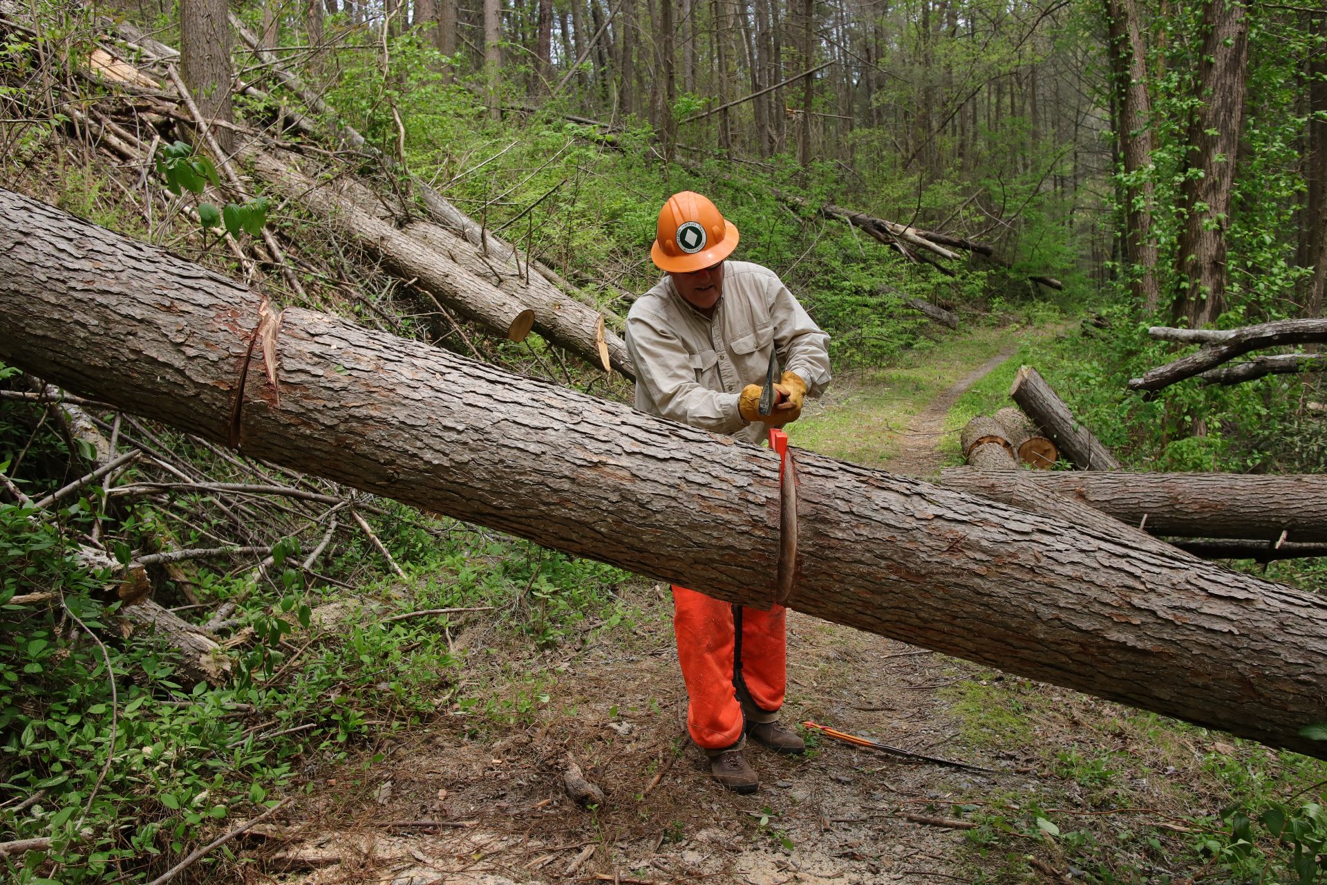 TRAIL MAINTENANCE