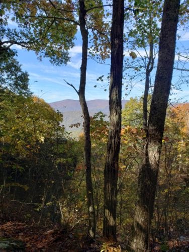 TRAIL OVERVIEW - Lookout Rock