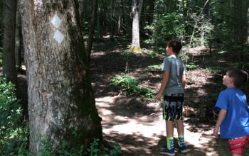 WEEKEND HIKES WITH THE FAMILY