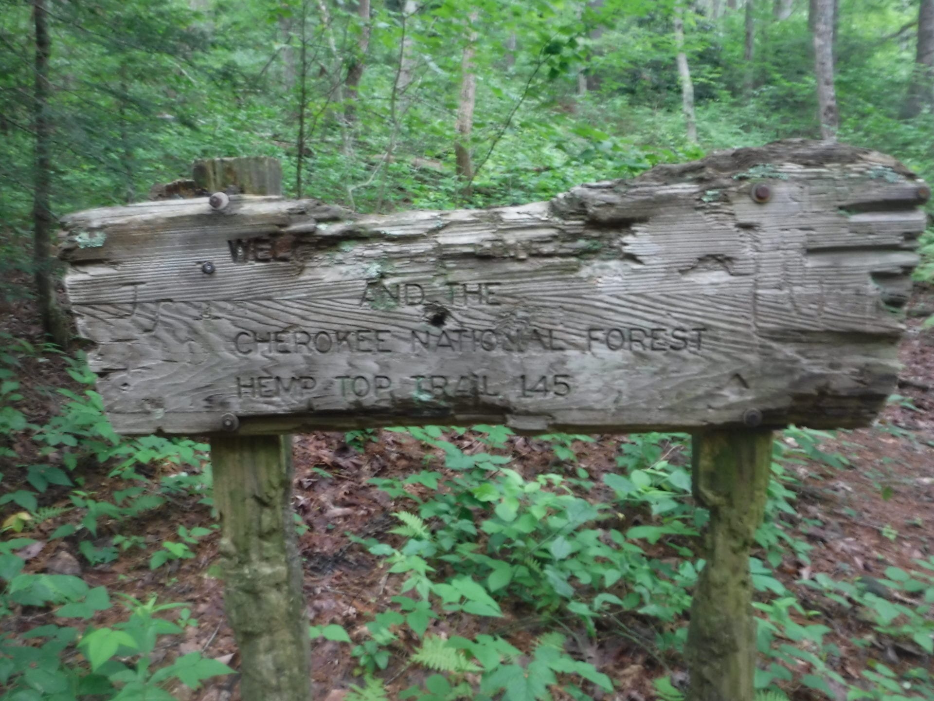 DoubleSpring