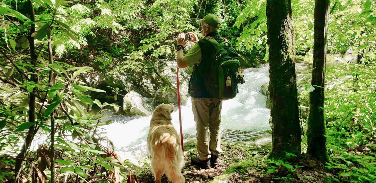 Lost Creek