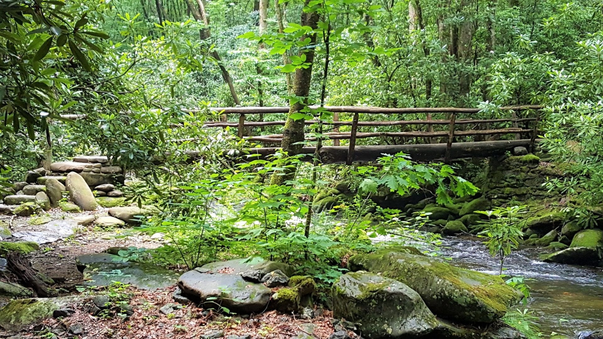 Nolan Creek