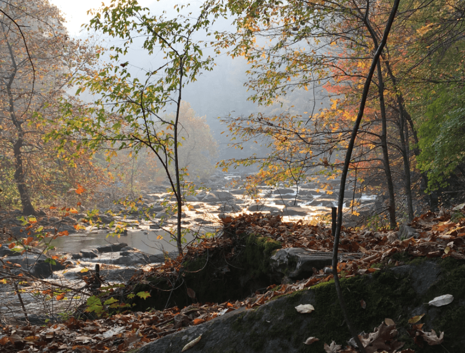 Tellico River Creek