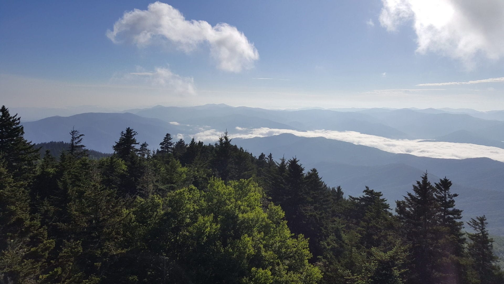 View from observation tower Mt Sterling