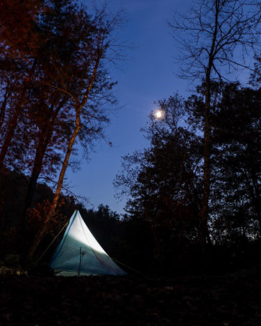 Tent_3894224467706682388_n